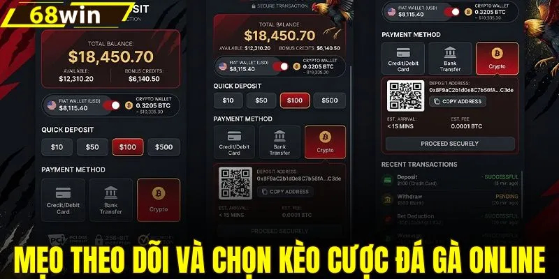 Bí kíp theo dõi và cược kèo đá gà nhanh thắng