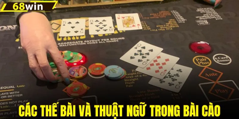 Các thế bài và thuật ngữ thường gặp trong bài cào