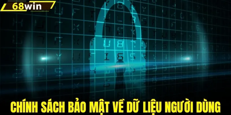Những chính sách bảo mật về dữ liệu người dùng