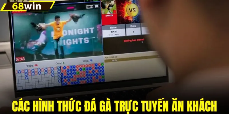 Tổng hợp hình thức chọi gà trực tuyến thu hút