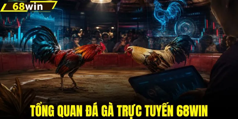 Tổng quan hình thức đá gà trực tuyến thú vị